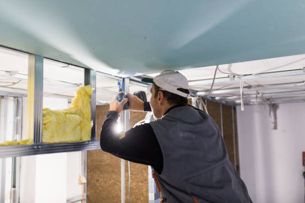 Best Attic Insulation Installation  in Plains, KS