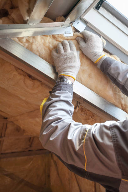 Best Affordable Insulation Services  in Plains, KS
