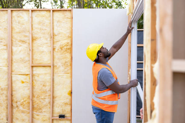 Best Professional Insulation Contractor  in Plains, KS